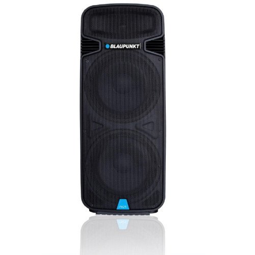 Blaupunkt Profesional...